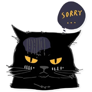 Video sticker 😽 Black Cat