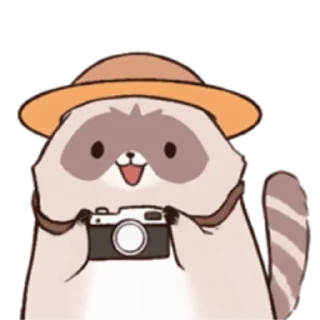 Sticker 🦝 Racc-Kun @nyakwii