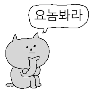 Sticker 💬 작은 회색 고양이 By @KakaoEmoticon