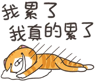 Sticker ⭐️ ランラン猫 25 (台湾版) @moe_sticker_bot