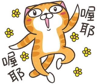 Sticker ⭐️ ランラン猫 25 (台湾版) @moe_sticker_bot