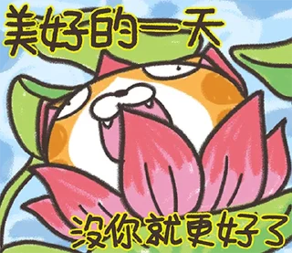 Sticker ⭐️ ランラン猫 25 (台湾版) @moe_sticker_bot