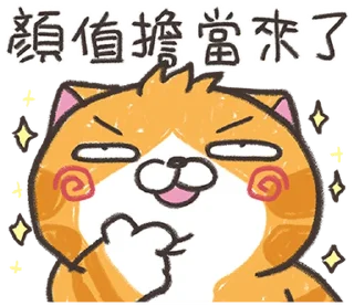 Video sticker ⭐️ ランラン猫 25 (台湾版) @moe_sticker_bot