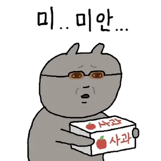 Video sticker 💬 색안경 낀 고양이 3 By @KakaoEmoticon