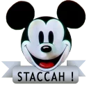 Video sticker 🐭 staccah