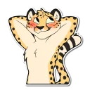 Video sticker 😳 Cheetah