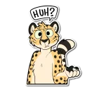 Video sticker ❓ Cheetah