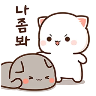 Sticker 💬 모찌모찌 움직이는 모모냥 9 By @KakaoEmoticon