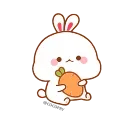 Video sticker 😕 ➣Carrot 🥕 @QStickers 🐰