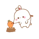 Video sticker 😠 ➣Carrot 🥕 @QStickers 🐰