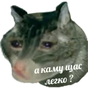 Sticker 😿 хейтеры сосатб