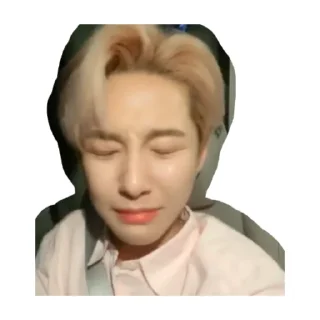 Sticker 😭 lq renjun