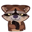 Video sticker 🦝 Proha Raccoon (@TgSticker)