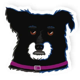 Video sticker 😑 Jenna the dog