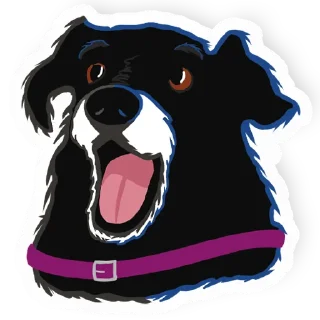 Video sticker 🤩 Jenna the dog