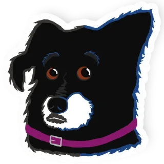 Video sticker 😯 Jenna the dog
