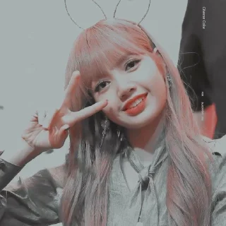 Sticker 🥀 ·˚ ༘🦋 Lalisa : @ppeacha