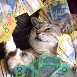 Sticker 💰 Broken Cats 2