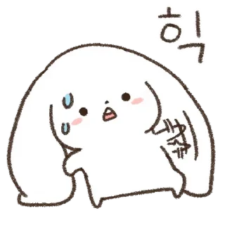 Video sticker 💬 이 구역의 망붕왕! 망상토끼 By @KakaoEmoticon