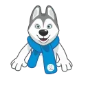 Video sticker 👋 Ulayka the Husky @TgSticker