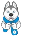 Video sticker 😌 Ulayka the Husky @TgSticker