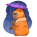 Video sticker 😔 Mr. Capybara