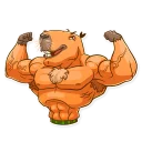 Sticker 💪 Mr. Capybara