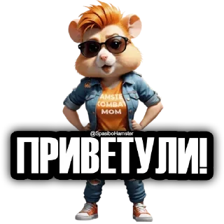 Video sticker 🐹 Друзья HAMSTER ➜ @SpasiboHamster