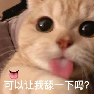 Video sticker 😽 绿酱の猫  @lvjiangQwQ