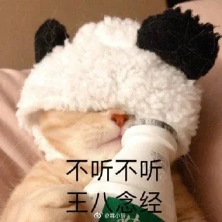 Sticker 😾 绿酱の猫  @lvjiangQwQ