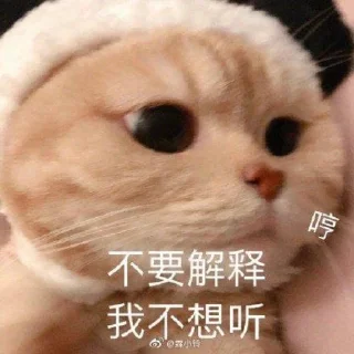 Sticker 😾 绿酱の猫  @lvjiangQwQ