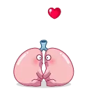 Video sticker 😘 Human Organs