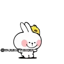 Video sticker 😍 Rabbit👉🏻👉🏻 @farsisticker