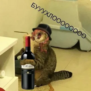 Sticker 🍷 бродячие псы