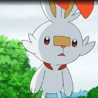 Video sticker 😦 Scorbunny