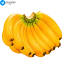 Sticker 🍌 🍉 پک استیکر میوه ها 1- مرجان 🍌