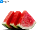 Sticker 🍉 🍉 پک استیکر میوه ها 1- مرجان 🍌