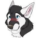 Video sticker 😊 Kenvey the Husky