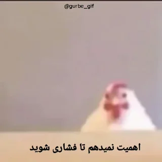 Video sticker 😂 amir_turk_8