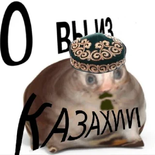 Sticker 🇰🇿 Хау дую ду?