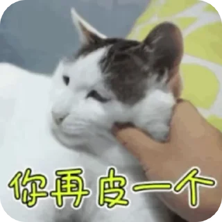 Video sticker ⭐ 心動小寶貝 @F76av