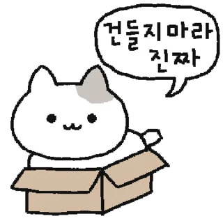 Video sticker 💬 낭만고앵이 By @KakaoEmoticon