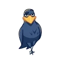 Video sticker 😘 Crow