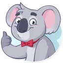 Video sticker 👍 Koala Chuck