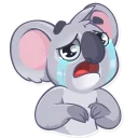 Sticker 😭 Koala Chuck