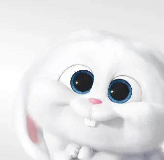 Video sticker 🐰 snowball rabbit