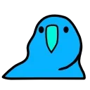 Video sticker 🤩 parrot 🦜