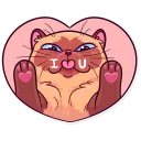 Sticker 😘 Meme Cats