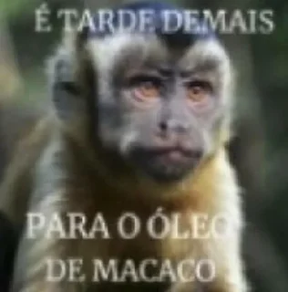 Video sticker 🐵 ALERTA DE MACACO