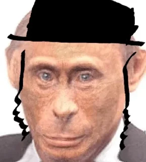 Video sticker 🐵 Putin monkey :: @fStikBot